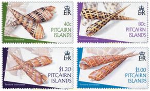 Sellos: 154652 MNH PITCAIRN Islas 2004 CONCHAS